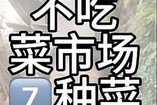 马特乌斯：多特现在阵容实力有问题，该大换血并舍弃罗伊斯、狐媚